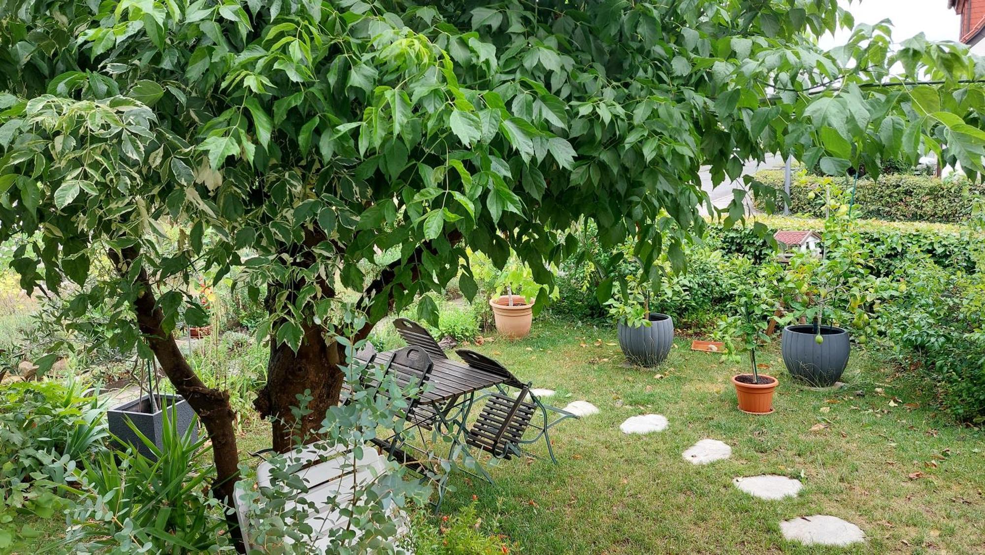 Villa Lotte Лихтенфельс Экстерьер фото